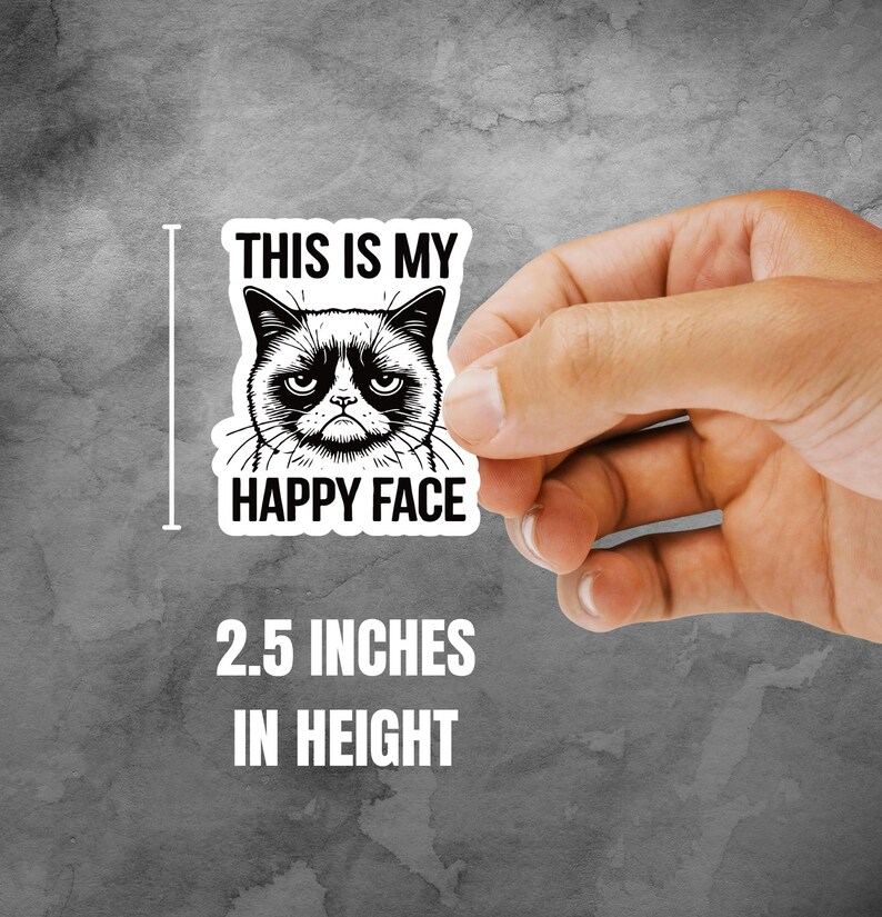 This Is My Happy Face Sticker, Grumpy Cat Sticker, Funny Cat Lover Gift, Laptop Sticker, Animal Lover Book Stickers, Vinyl Sticker image 2