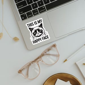 This Is My Happy Face Sticker, Grumpy Cat Sticker, Funny Cat Lover Gift, Laptop Sticker, Animal Lover Book Stickers, Vinyl Sticker image 3