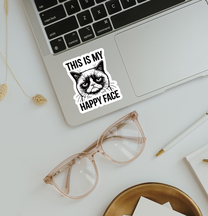 This Is My Happy Face Sticker, Grumpy Cat Sticker, Funny Cat Lover Gift, Laptop Sticker, Animal Lover Book Stickers, Vinyl Sticker image 3