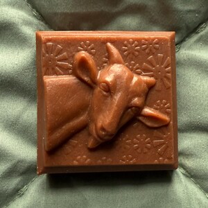 Alle natürliche hausgemachte Muskat Bar Seife Ziege 2 geformt ~ 3 Unze. Kokosnuss, Olive, Rizinusöl, Ahornsirup, Natürliche Farbe, Duftöl, Lye