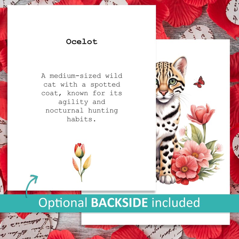 Ocelot Flash Card.pdf Amazon Rainforest Animals Flashcards: Montessori Learning (digital ...
