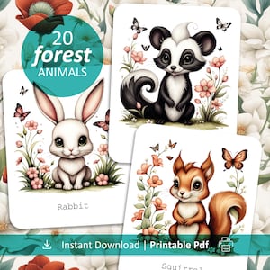 Forest Animal Flashcards Printable | Nature Study for Kids | Wildlife Fact Cards | Charlotte Mason | Homeschool | Montessori Science