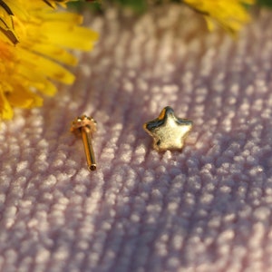 Star Model - Piercing de ouro maciço de 14 quilates, piercing de tragus, parafuso, brinco de ouro, cartilagem, hélice, presentes para ela, arte em joias, presente para criança