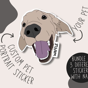 Personalisierter Haustier Aufkleber | Personalisierter Haustier Aufkleber | Stickerbogen | Haustier Name