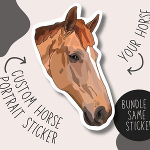 Hand-Drawn Custom Horse Portrait Sticker: Personalised Equestrian Gift Bundle
