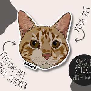 Pegatina personalizada con retrato de mascota / Pegatina personalizada para mascota / Pegatina individual / Nombre de mascota