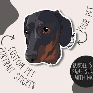 Pegatina personalizada para retrato de mascota / Pegatina personalizada para mascota / Paquete de pegatinas / Nombre de mascota