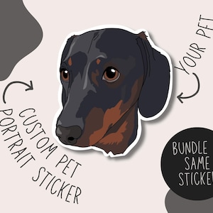 Pegatina personalizada para retrato de mascota / Pegatina personalizada para mascota / Paquete de pegatinas