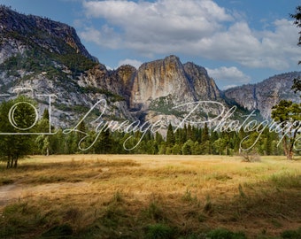 Park Narodowy Yosemite, Krajobraz, Pobieranie cyfrowe, Sztuka do druku, Sztuka ścienna