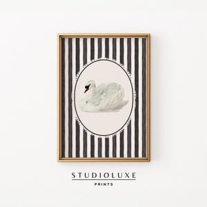 Decorazione murale con cigni, stampa a righe nere, arredamento trendy per appartamenti, poster vintage con uccelli, stampabile sulla galleria costiera Grandmillennial