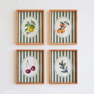 Vintage Obstdrucke 4er Set, gestreifte Wandkunst, Küchendekoration, botanische Wandkunst, alte Geldästhetik, Nancy Meyers, Grandmillennial
