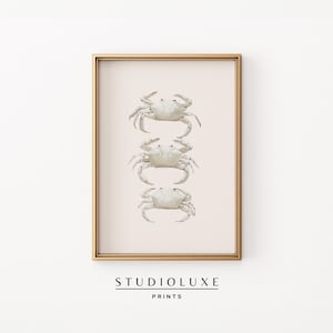 May include: A framed print featuring three white crab illustrations stacked vertically on a beige background. The print is in a gold frame. The text "STUDIOLUXE PRINTS" is at the bottom.