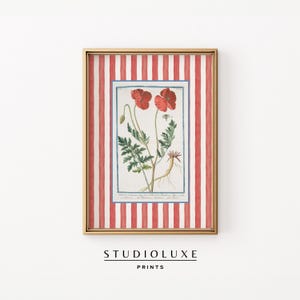 Mohnblumen Wandkunst, Roter Streifen Botanischer Druck, Vintage Blumen Poster, Cottagecore Kräuter Illustration für Küche oder Flur