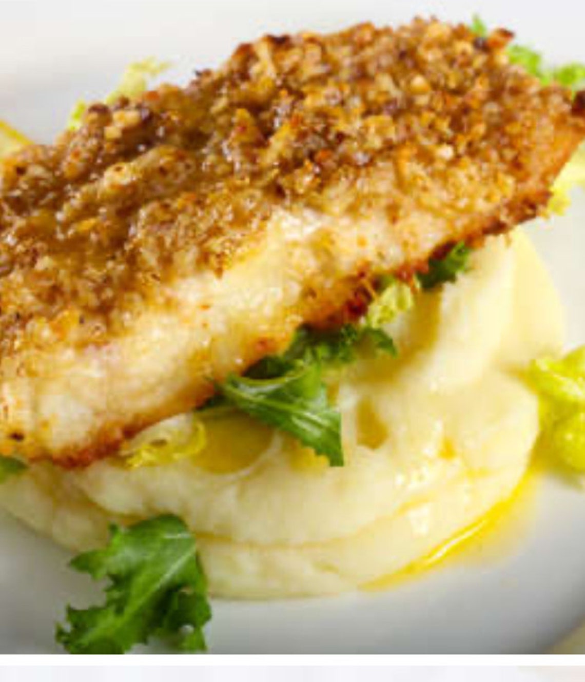 2024 Weight Gain Recipes Etsy Canada