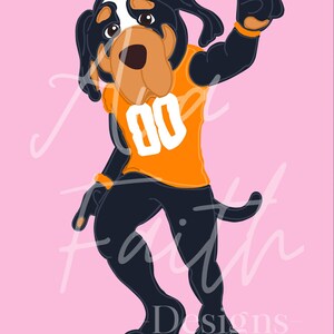 May include: A cartoon illustration of a black and white dog wearing an orange jersey with the number 80 on it. The dog is standing on a pink background and has a white patch on its forehead.