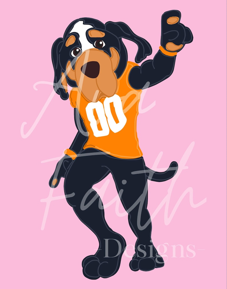 May include: A cartoon illustration of a black and white dog wearing an orange jersey with the number 80 on it. The dog is standing on a pink background and has a white patch on its forehead.