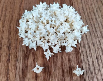 25ct Rattle Snake Vertebrae Natural Bone Beads for Crafting