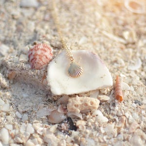 seashell charm necklace, seashell necklace, gold shell necklace, ocean jewelry, gold filled necklace, dainty shell, birthday gift for her