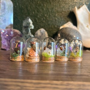 May include: Five small glass jars with cork tops, each containing a different miniature scene. The scenes include a bee on a flower, a mushroom, a flower, and a small insect. The jars are arranged in a row on a wooden surface.