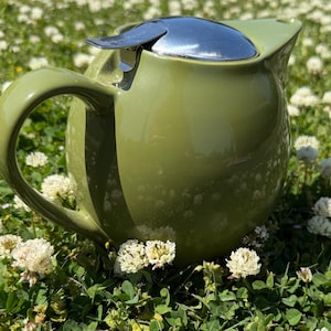 May include: A green ceramic teapot with a silver lid, set against a backdrop of green grass and white flowers. The teapot has a rounded body, a curved handle, and a spout for pouring. The lid is a shiny, metallic silver.
