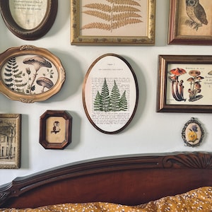 May include: A collection of framed botanical and nature-themed art pieces. The frames vary in shape and size, with gold and brown tones. The artwork includes fern prints, mushroom illustrations, and an owl. One frame has the text "AN UNEXPECTED PARTY".