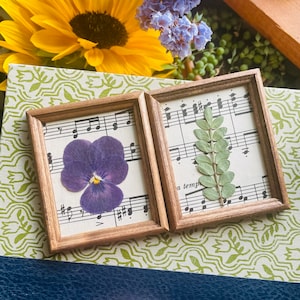 May include: Two small, square wooden frames each contain a pressed botanical specimen. One frame holds a purple pansy, the other a sprig of green leaves. Both are set against a backdrop of sheet music. The frames are displayed on a patterned surface.