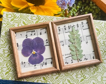 Tiny Vintage Sheet Music Wood Framed Art 2&quot;x3&quot; | Botanical Fern Artwork | Pressed Floral Wall Art | Framed Pressed Flower | Desktop Decor