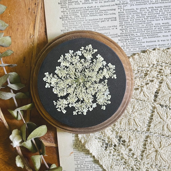 Geperste bloemenkunst met donkere Queen Anne's Lace: Moody Botanical Wall Decor