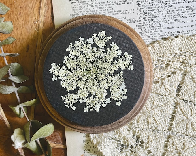 Dark Queen Anne's Lace Pressed Flower Art: Moody Botanical Wall Decor