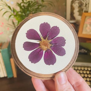 May include: A single, pressed purple flower is displayed on a white canvas, framed in a round wooden frame.