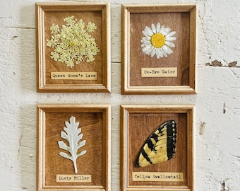Tiny Herbarium Gold Framed Art 2”x3” | Botanical Ferns Artwork | Pressed Floral Desktop Art | Wood Framed Pressed Flower | Real Flower Decor