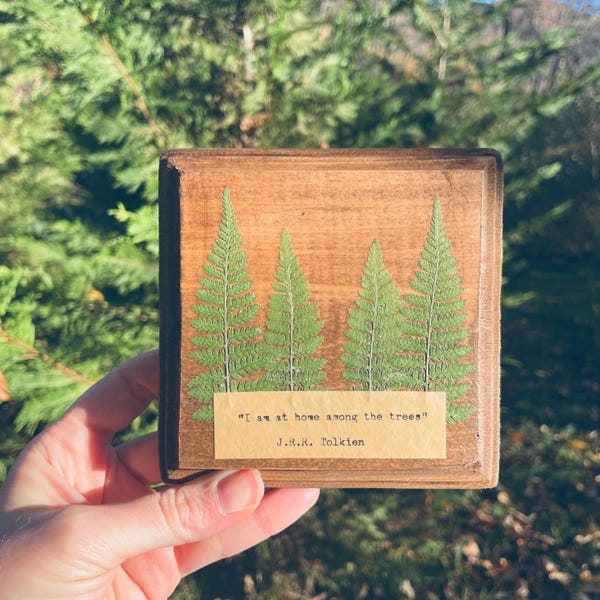 J.R.R. Tolkien Forest Quote Wall Decor | Fern wall hanging | Lord of the Rings Art | Framed Pressed Flowers | Nature Lover Gift | LOTR Gift