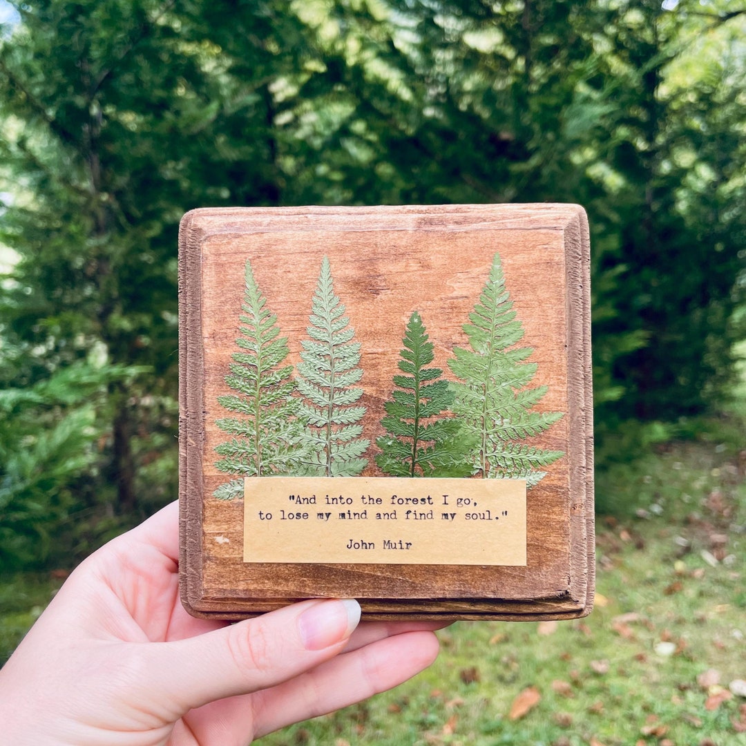 Into The Forest I Go John Muir Quote Wall Decor | Fern wall hanging | Pressed Floral Wall Art | Framed Pressed Flowers | Nature Lover Gift