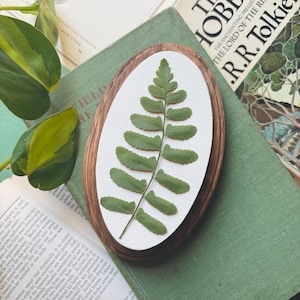 Pressed Christmas Fern Wall Art: Botanical Nature Decor