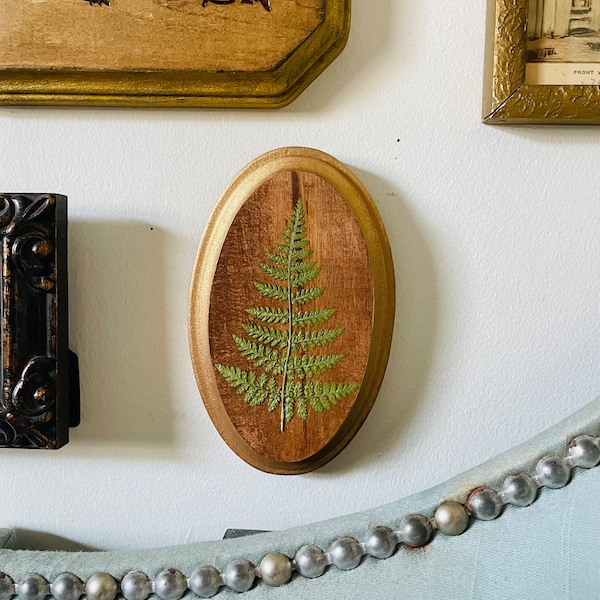 Mini Forest Fern Wall Art / Felce botanica da appendere alla parete / Arte floreale pressata / Fiori pressati incorniciati / Decorazione da parete per galleria / Regalo per gli amanti della natura