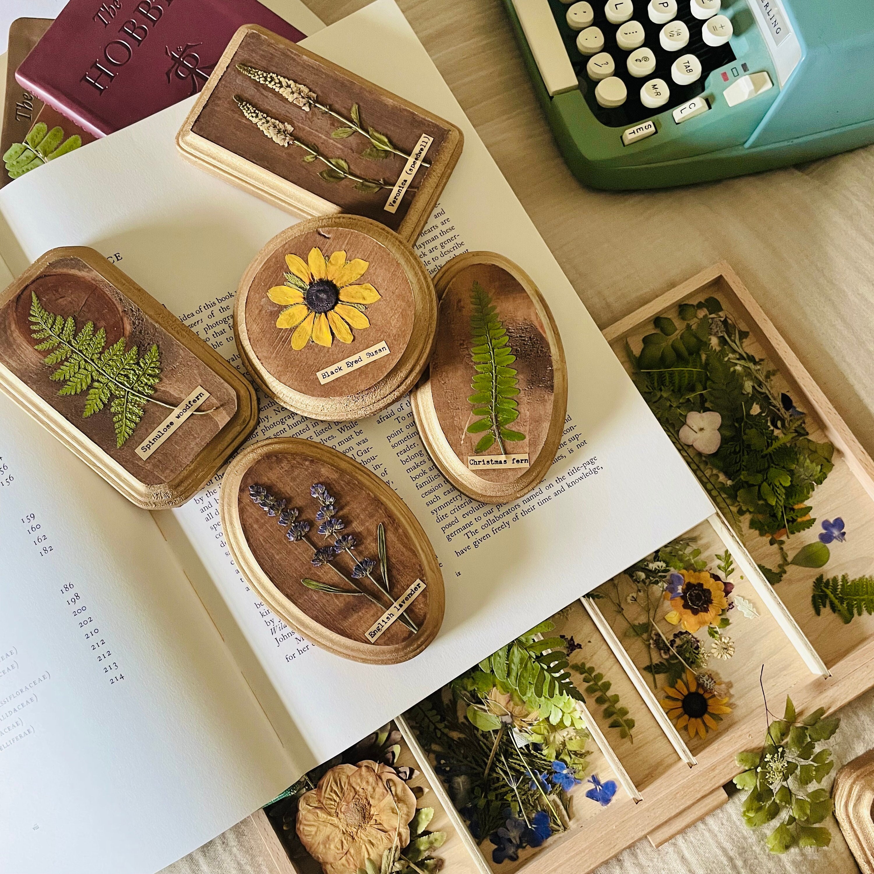 Create Your Own Gallery Wall | Herbarium Wooden Wall Art | Botanical fern wall hanging Pressed Floral Wall Art | Framed Pressed Flower