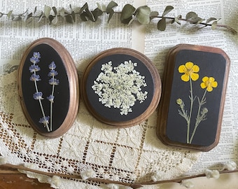 May include: Three wooden framed pressed flower art pieces. One oval frame with lavender, a round frame with white flowers, and a rectangular frame with yellow buttercups, all set against a black background.