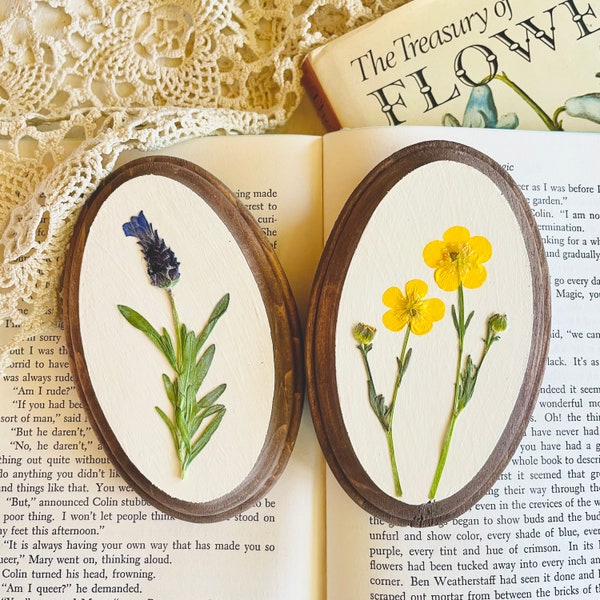 Small Floral Wall Painting Gift Set | Botanical Oval Wall Hanging | Pressed Floral Wall Art | Framed Pressed Wildflowers | Mother's Day Gift