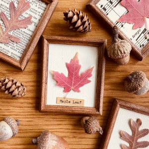 以下が含まれることがあります： 3つの額装された押し葉、メープルリーフ、オークリーフ、そして楽譜の背景を持つ葉。フレームは茶色の木で、背景は白です。メープルリーフは赤で、オークリーフは茶色です。楽譜の背景は白黒です。フレームは、どんぐりや松ぼっくりのある木製の表面にあります。