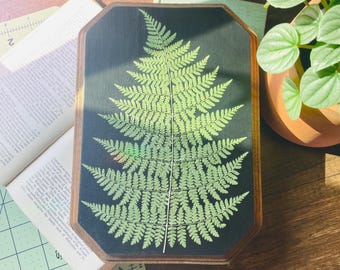 May include: A framed fern frond with a dark green background. The fern is light green and has a delicate, lacy texture.