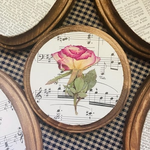 Pressed Flower Botanical Wall Art: Vintage Sheet Music, Oval Frame - Etsy