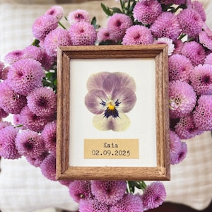 Piccola opera d'arte botanica personalizzata 2"x3" / Arte murale floreale pressata / Fiori pressati con cornice in legno / Decorazione con fiori veri / Regalo per neonato