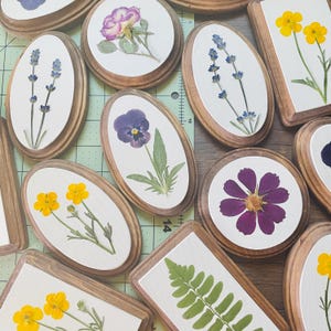 May include: A collection of oval and rectangular wooden frames with pressed flowers and ferns inside. The frames are all different sizes and have a rustic, natural look. The flowers include lavender, pansies, ferns, and yellow wildflowers.
