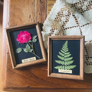 Peut inclure: Deux cadres d'art de fleurs séchées. Le premier cadre présente une rose sauvage rose avec des feuilles vertes sur un fond noir. Le deuxième cadre présente une fougère verte sur un fond noir. Les deux cadres sont en bois et ont une finition naturelle.