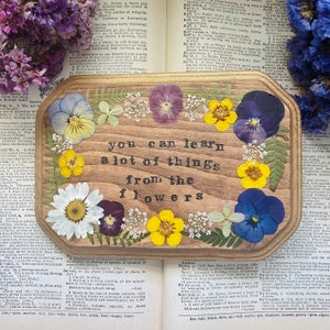 Fleurs pressées Alice au pays des merveilles : décoration murale botanique 5 x 7 pouces