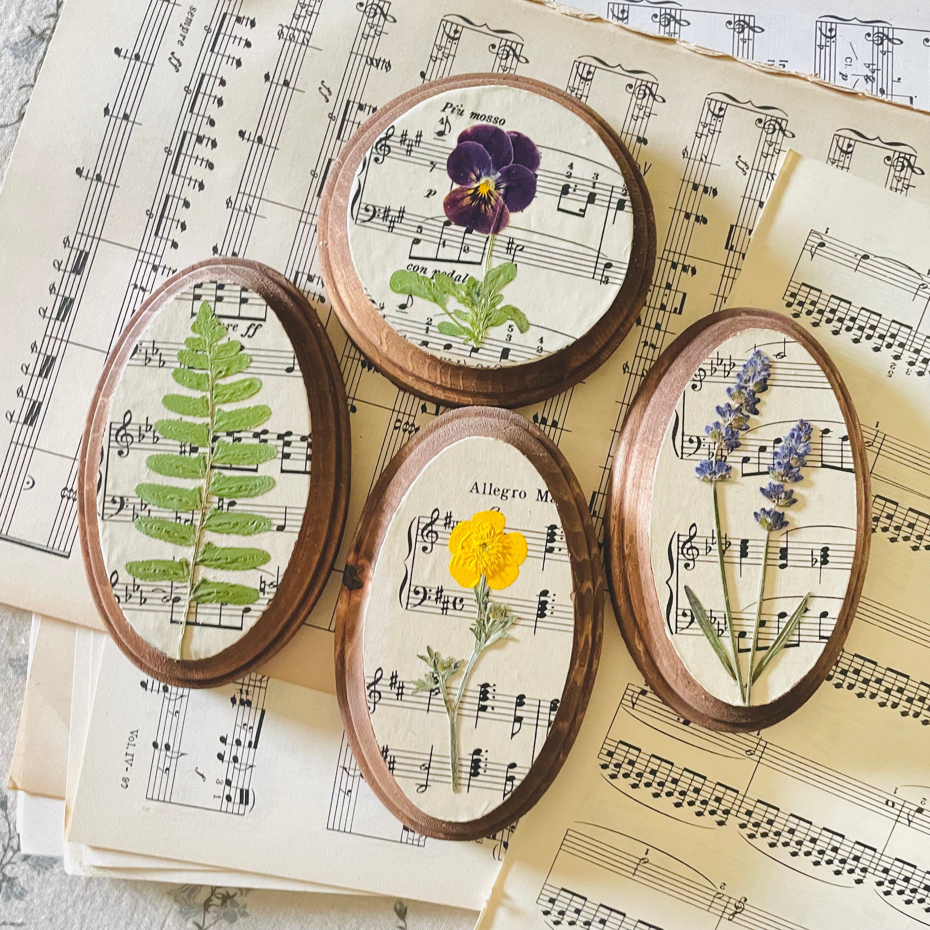 Pressed Flower Botanical Wall Art: Vintage Sheet Music, Oval Frame - Etsy