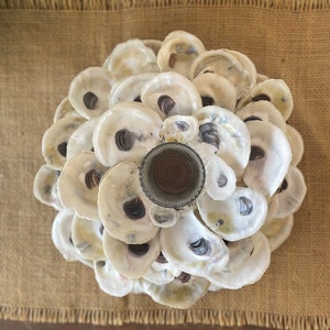 Oyster Shell Candle Holder