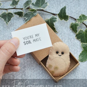 May include: A small brown felt potato with a smiling face and brown spots in a brown box with a white card that says "You're my soil-mate".