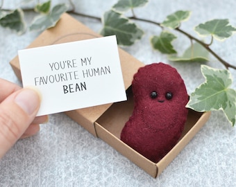 Cute bean pun gift, felt bean, Valentines Day Gift, matchbox bean pun gift, funny birthday gift