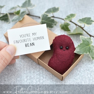 Cute bean pun gift, felt bean, Valentines Day Gift, matchbox bean pun gift, funny birthday gift